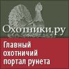 Our partner Охота http://www.ohotniki.ru/